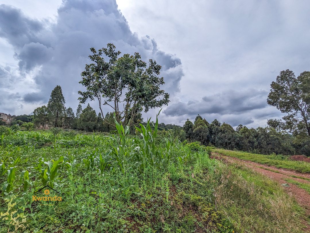 KwandaEstates's tweet photo. 🏡 778 SQM Residential Plot for Sale in #Rebero, #Kigali

💴 85M RWF

🏡 Zoned in R1A for Low-Density Residential Densification
📍 Walking distance to Canal Olympia

Build your dream home in one of Kigali’s most scenic and fast-growing neighborhoods.

DM/Call us for to schedule a Visit: +250 788 370 360
https://t.co/qN2rh79Uhk