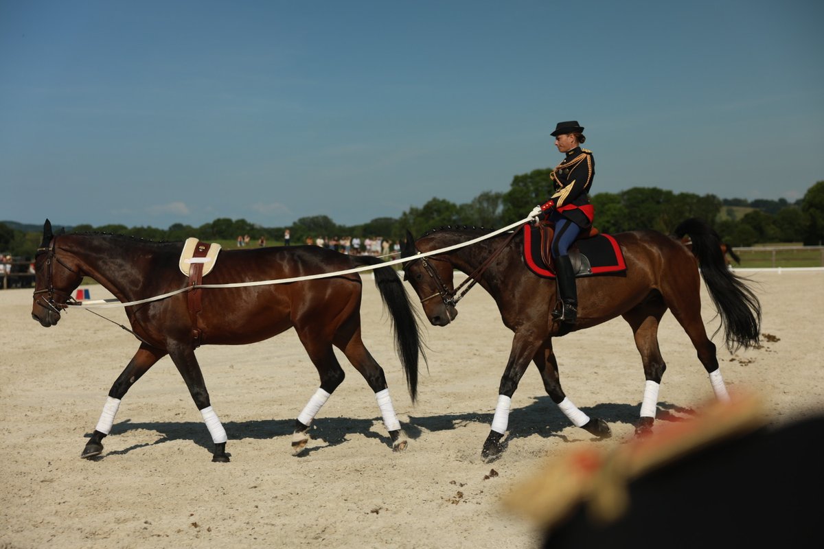 En Normandie, un campus unique au monde voit le jour à #Goustranville : Normandie Équine Vallée. 🏇

Un site d’excellence dédié à la santé du #cheval, à la recherche, à la formation et à l’innovation. Un investissement stratégique pour une filière d’avenir. 🔬