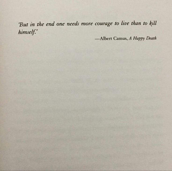 Synexdoche (@amor_fatti) on Twitter photo 