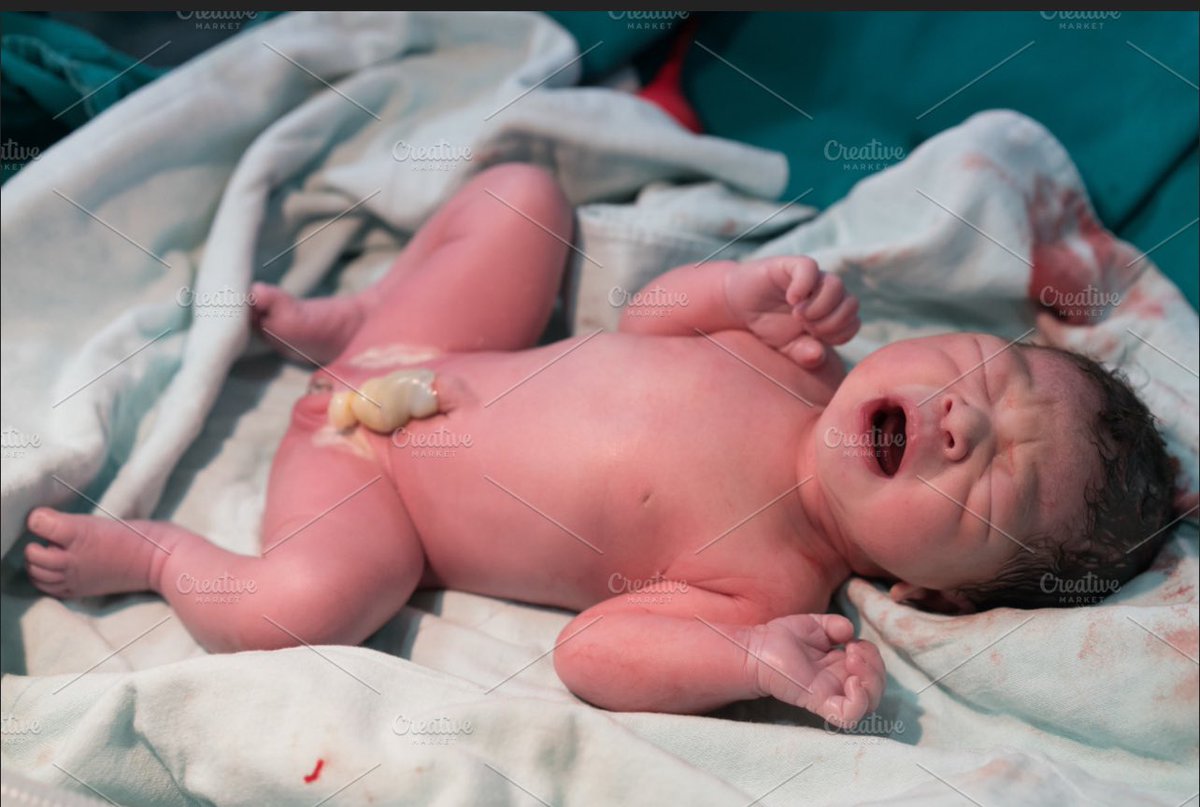 KateShemirani's tweet image. So it took 46 minutes in Parliament for tyrants to decide that it is acceptable to murder a child at full term. There is nothing more to say on this.

Could you do it? Could you ask another to do it for you? 

My first job was in a gynaecology ward when I qualified as a nurse. I…