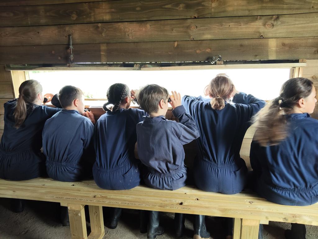St George's CE Primary School (@stgeorgeskent) on Twitter photo A first for <a href="/StGeorgesKent/">St George's CE Primary School</a> <a href="/Treginnis_FFCC/">Lower Treginnis - Farms for City Children</a> #FarmersForAWeek with a Birdwatching activity #RSPB #Wildlife #Nature #BeKind A first for <a href="/StGeorgesKent/">St George's CE Primary School</a> <a href="/Treginnis_FFCC/">Lower Treginnis - Farms for City Children</a> #FarmersForAWeek with a Birdwatching activity #RSPB #Wildlife #Nature #BeKind
