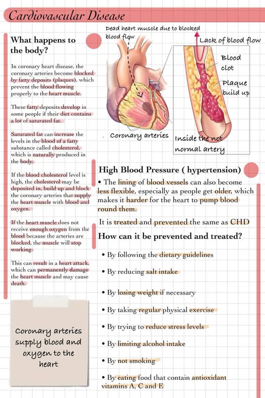 FellowNurses1's tweet photo. Heart health basics every nurse should know!
Understanding CVD helps us educate patients better

#NursingKnowledge #PatientEducation #FellowNursesAfrica 

Follow https://t.co/6Z1ftQcyTQ for more. https://t.co/k9ulDaXPED