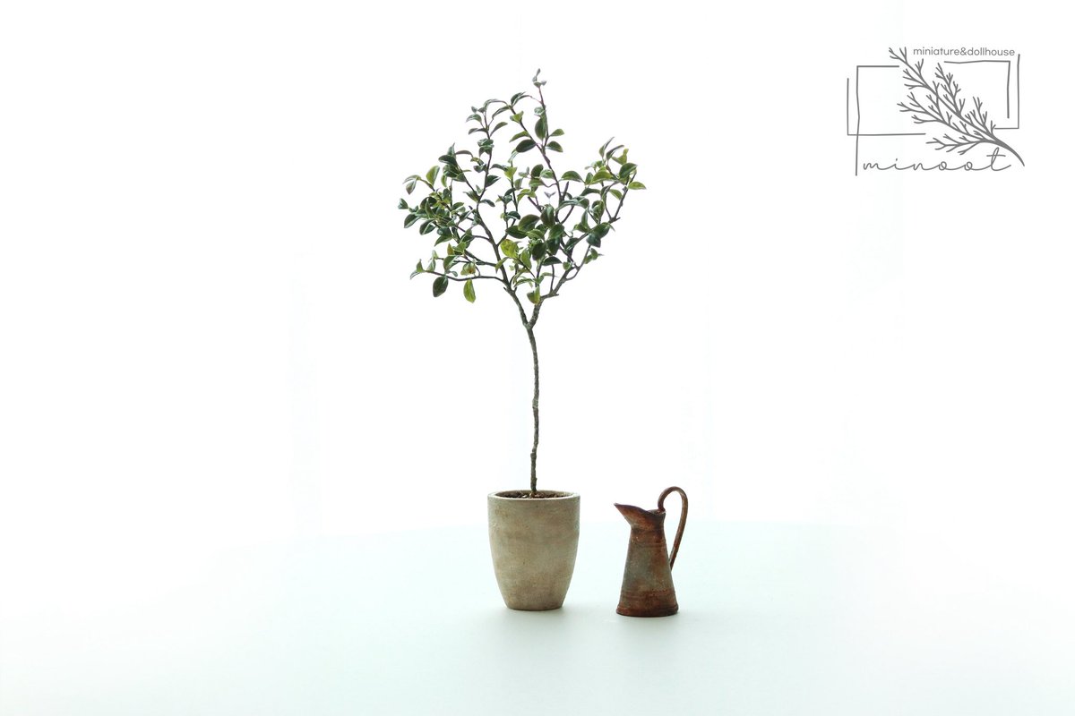 구아바나무와 물조리개🌿

7월 열리는 돌하우스전 경품용으로 제작