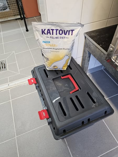 Frankfurt am Main · Höchst · Emmerich-Josef-Straße · 65929
Katze in einer Transportbox ausgesetzt  EKH/weiblich:
Wer hat Hinweise? Bitte melden beim
Tierschutzverein Frankfurt am Main und Umgebung von 1841 e.V.
Tierheim
Ferdinand-Porsche-Strasse 2-4, Frankfurt, Germany
+49 69