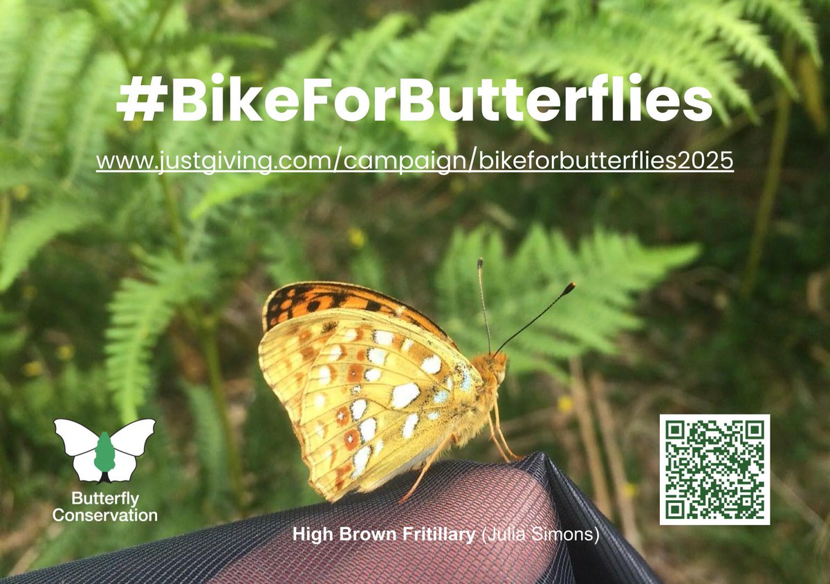 Simon Saville (@sbsaville) on Twitter photo Tomorrow I set off on my 4th #BikeForButterflies, around the coast of Wales, raising money for <a href="/savebutterflies/">Butterfly Conservation 🦋</a>. Butterflies need all the help we can give them, so please DONATE generously and SHARE widely. Thanks! justgiving.com/campaign/bikef… Tomorrow I set off on my 4th #BikeForButterflies, around the coast of Wales, raising money for <a href="/savebutterflies/">Butterfly Conservation 🦋</a>. Butterflies need all the help we can give them, so please DONATE generously and SHARE widely. Thanks! justgiving.com/campaign/bikef…