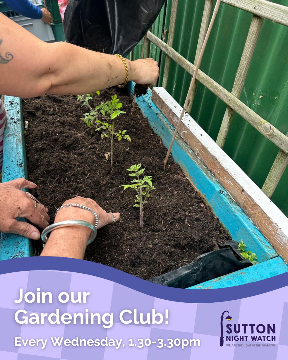 Snwhomeless's tweet image. We’re excited to host a #GardeningClub every Wednesday from 1:30–3:30pm at our Wallington drop-in centre 🌱
Open to all, get your hands dirty in our #GardenOfHope and learn about growing veg and plants while revamping our space.
#CommunityGardening #Sutton