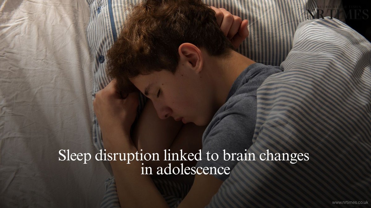 editorNRTimes's tweet image. Irregular sleep patterns during adolescence may alter how the brain responds to prenatal risk factors linked to conditions such as schizophrenia and autism, new research in mice suggests. 

🔗 Full story: buff.ly/Ts3mgLN

#AdolescentHealth #SleepScience #BrainDevelopment