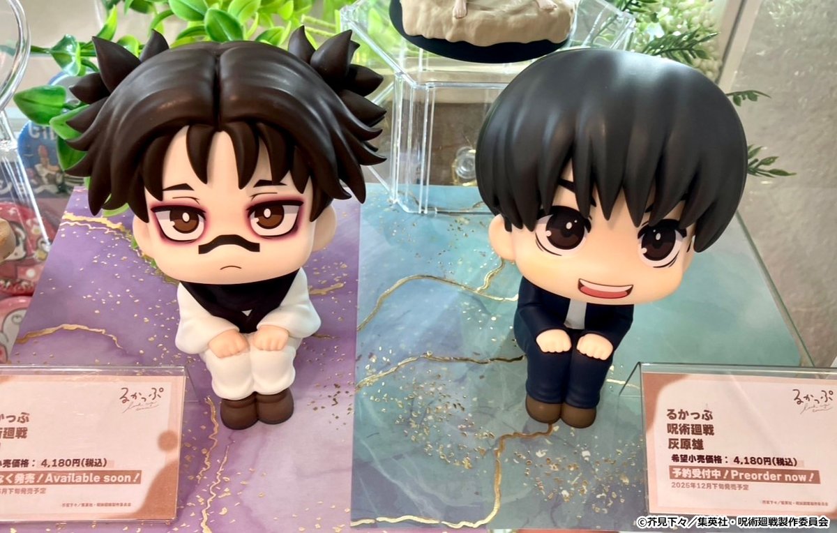 【#呪術廻戦】

˗ˏˋ 展示情報 ˎˊ˗

◤￣￣￣￣￣￣￣￣￣￣￣￣
見上げる見守る るかっぷ
呪術廻戦　灰原雄
＿＿＿＿＿＿＿＿＿＿＿＿◢

彩色原型をアニメイト新宿店にて展示中！
脹相は6月下旬発売予定メガ✨
animate-onlineshop.jp/pn/pd/3144041/ 

#JujutsuKaisen #るかっぷ