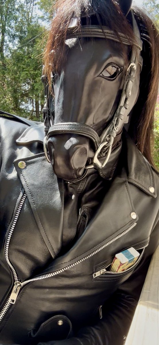 LEATHER~RUBBER~STALLION tweet media