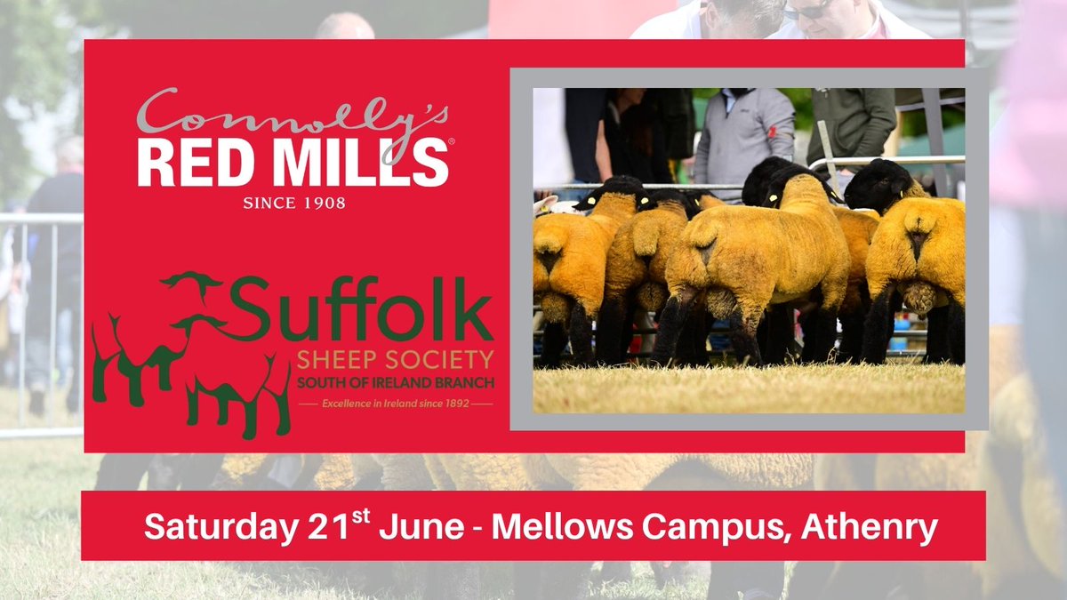 A huge weekend ahead for the Suffolk Sheep Society South of Ireland with the National Championships taking place in Athenry this Saturday June 21st 🌞🐑

This is always a great day, best of luck to all involved 🙌

#REDMILLSAgri #PedigreeSheep