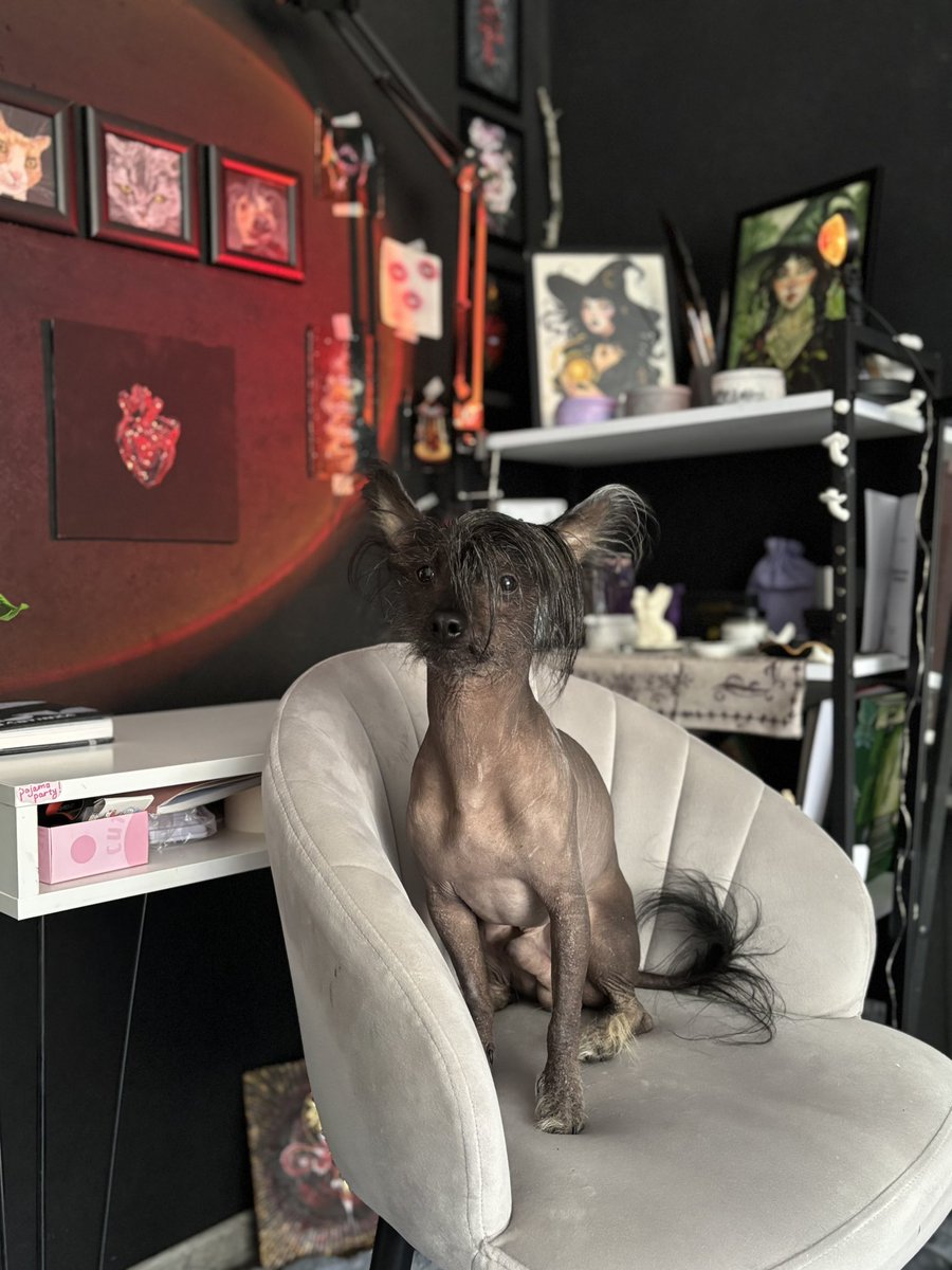 Artinessa_i's tweet image. Creativity takes up most of my life 🖤
And Shelby 🐕🖤