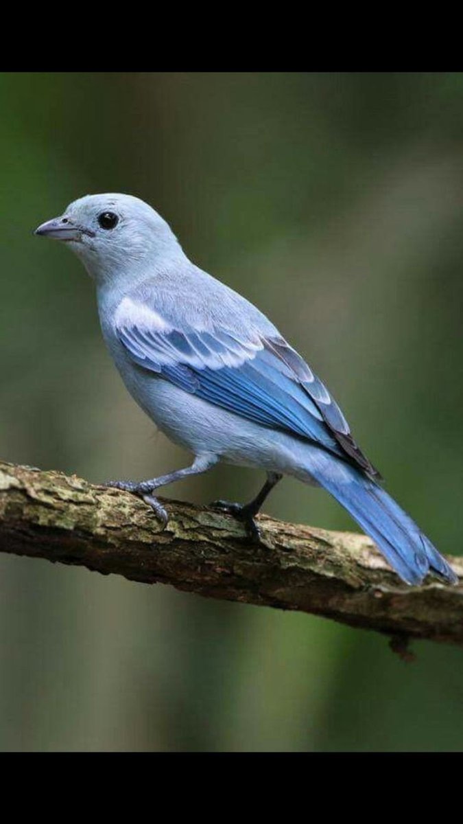 life_wild21208's tweet image. 