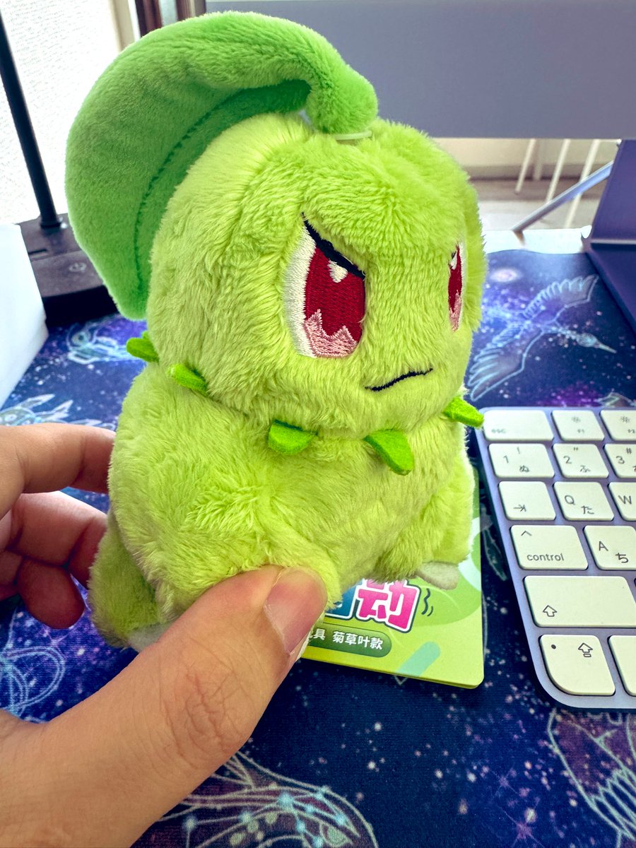 ✨入荷✨】 ⭐️中国限定ポケセン公式ぬいぐるみ チコリータ お値段