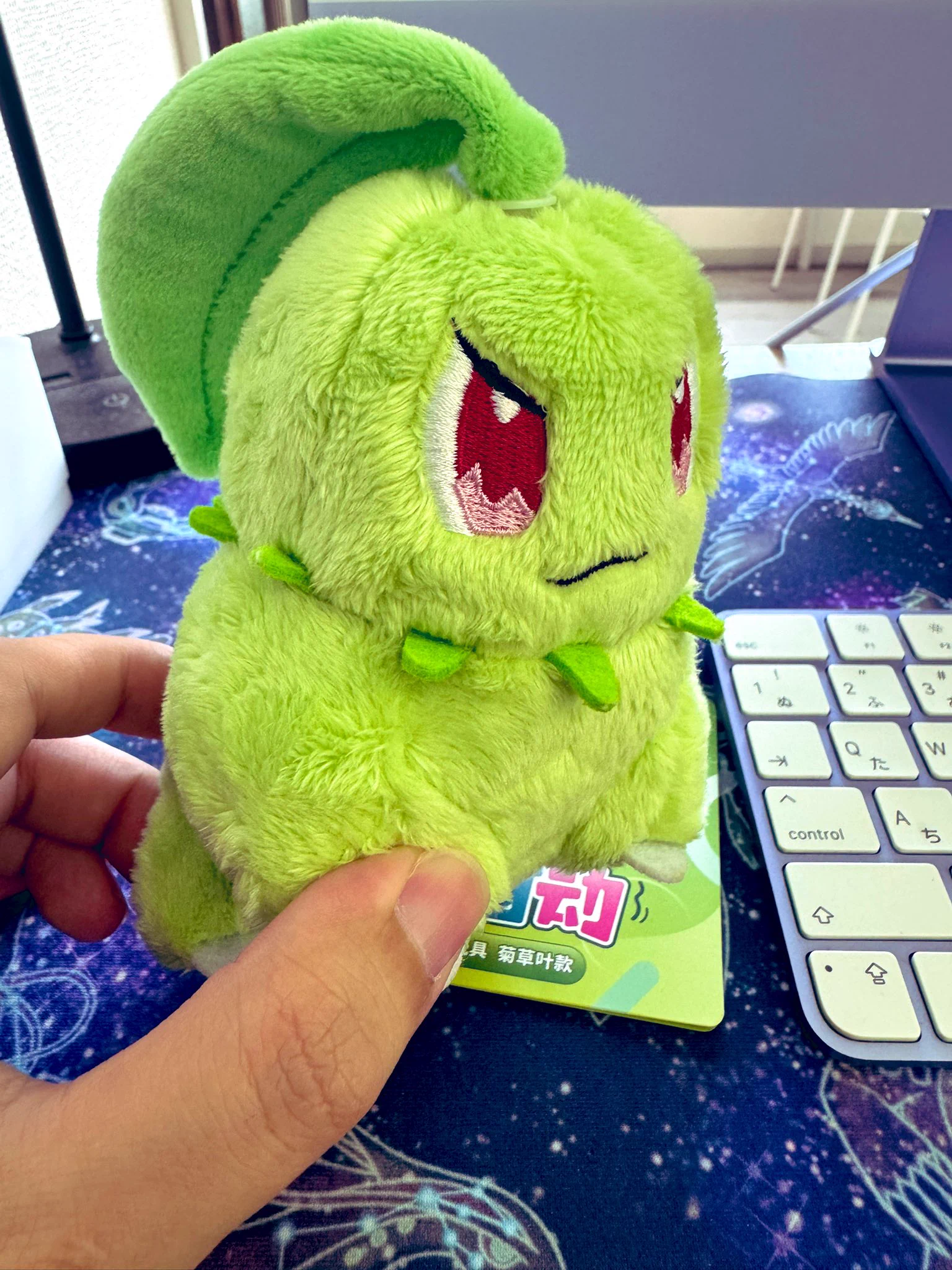 カードショップセネト on X: 