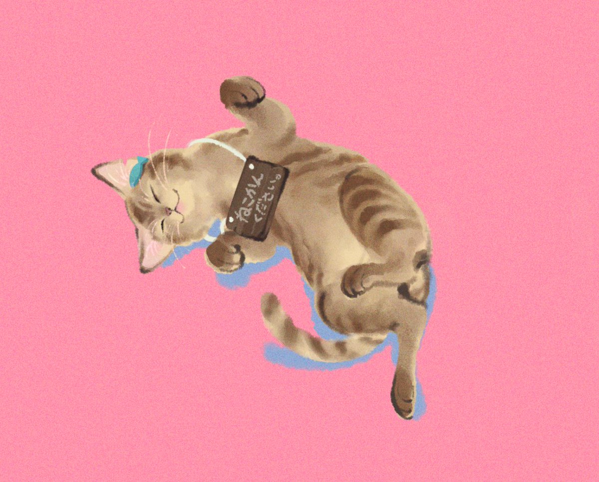 #のらねっこあら