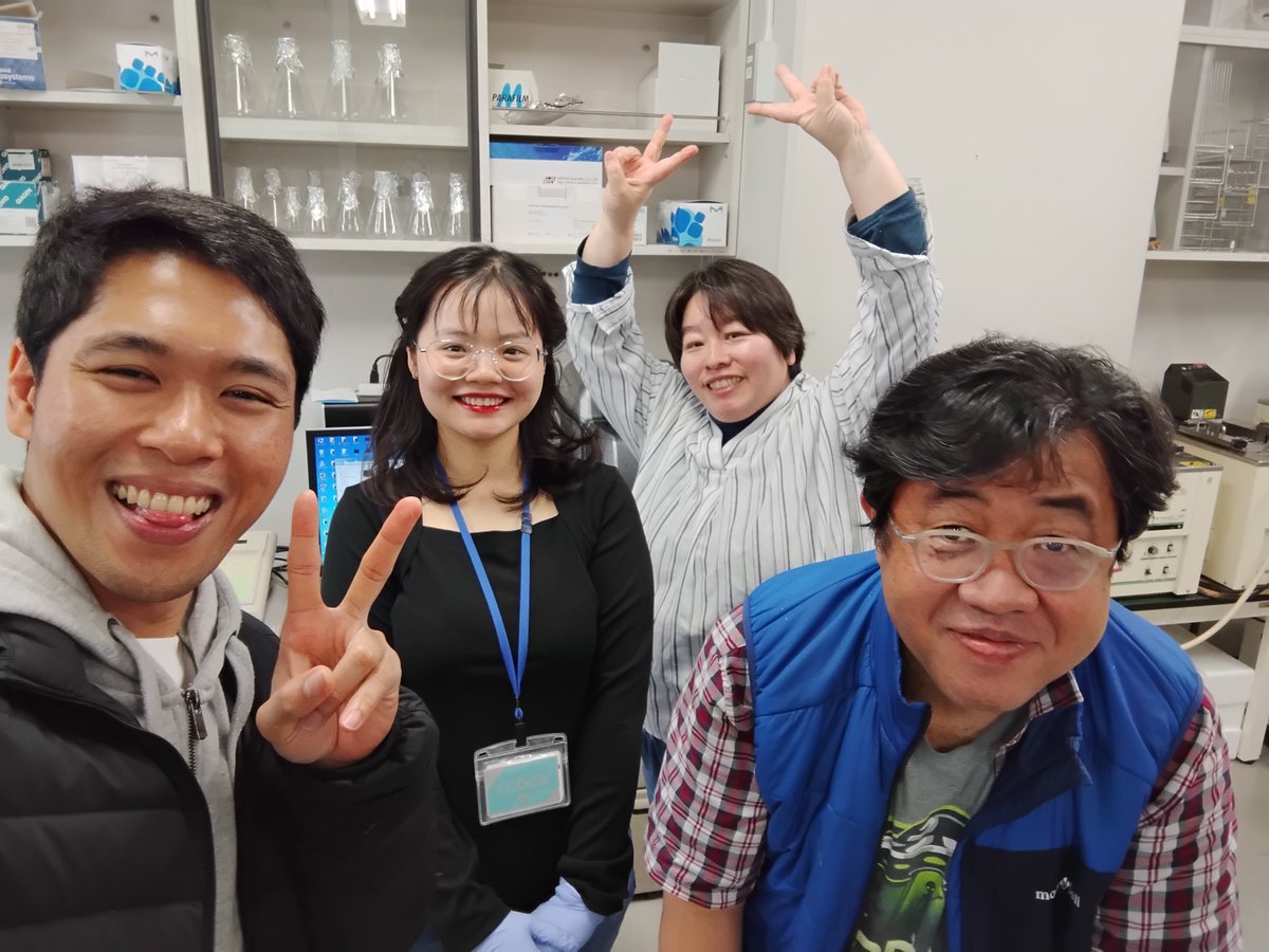 ２０２５年４月にオルガネラ制御生物学研究室が発足しました。あらゆる真核生物細胞が有するオルガネラ（細胞内小器官）である小胞体に着目し、そのサイズや機能が制御される仕組みについて、酵母をモデル生物として研究を進めています。

#オルガネラ制御生物学研究室 #木俣研 #NAISTバイオ