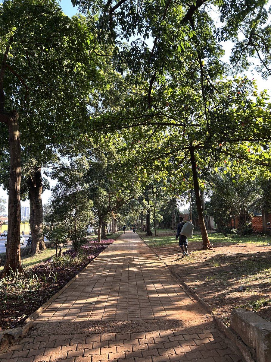 Joseph Beyanga Joe Walker (@akeda4) on Twitter photo HIDDEN TREASURE::Somewhere in the middle of a chaotic Kampala roads, thereโs a beautiful reminder that actually if our leaders chose to โserve the peopleโ, they can give us safe pedestrian walkways.
Dear <a href="/KCCAED/">Sharifah Buzeki</a>, at least letโs start with Jinja road. <a href="/MoWT_Uganda/">Ministry of Works & Transport</a> has very wide HIDDEN TREASURE::Somewhere in the middle of a chaotic Kampala roads, thereโs a beautiful reminder that actually if our leaders chose to โserve the peopleโ, they can give us safe pedestrian walkways.
Dear <a href="/KCCAED/">Sharifah Buzeki</a>, at least letโs start with Jinja road. <a href="/MoWT_Uganda/">Ministry of Works & Transport</a> has very wide