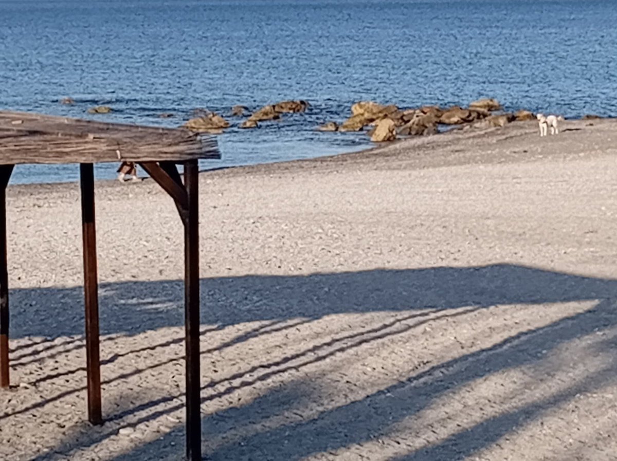 🏝️  🐕🐈‍⬛🦮 🐾🐾

🚫👣👣