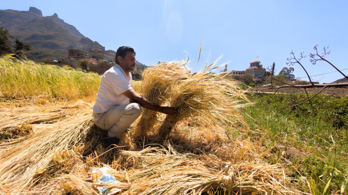 A steady flow of water is changing daily life in Ibb.  

Thanks to solar power and strong community leadership, families now spend less time searching for water and more time together ☀️💧  

storyteller.iom.int/stories/day-wa…