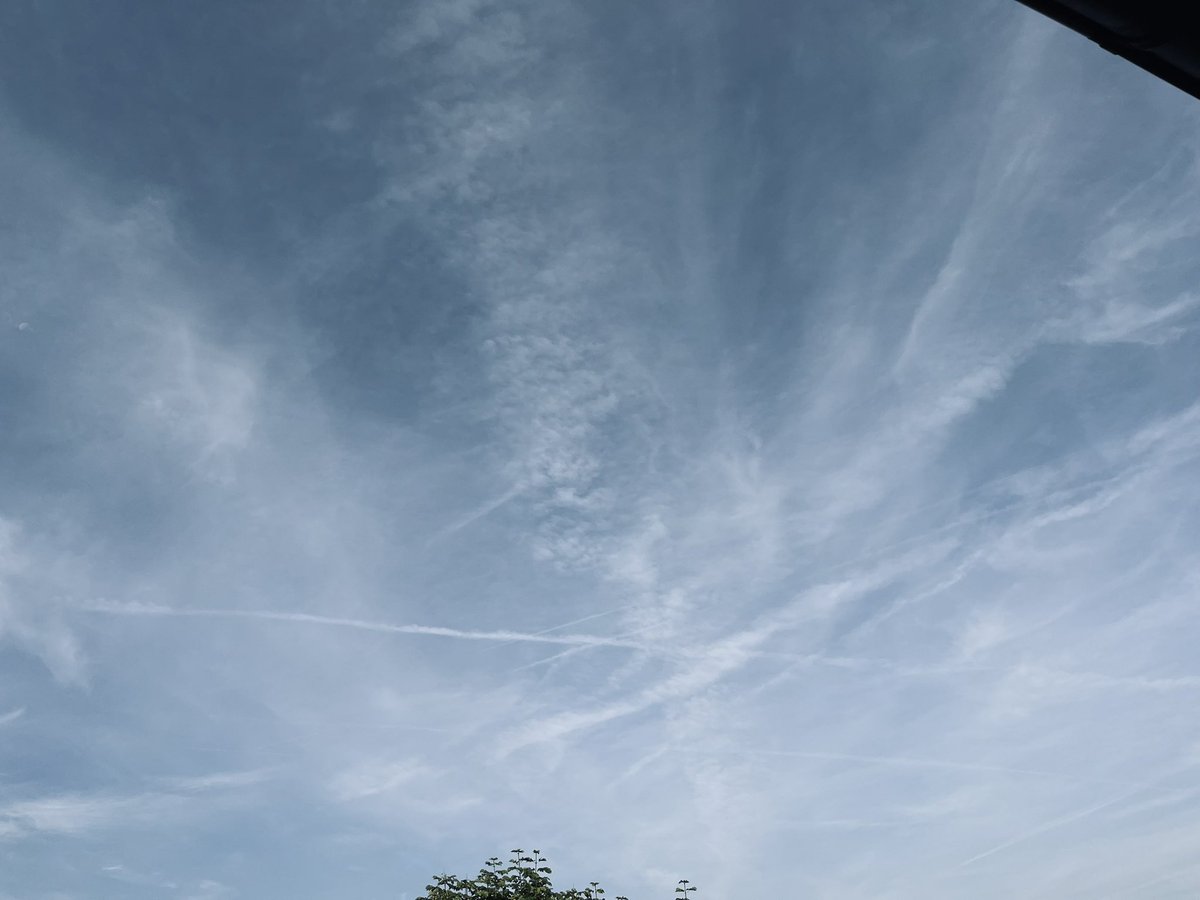 Alba_saluda's tweet image. Seit heute Morgen um 6 sprayen sie wieder ihr Gift über Zürich. 

#GeoEngineering 
#PoisonThePeople 
#Sunblocking