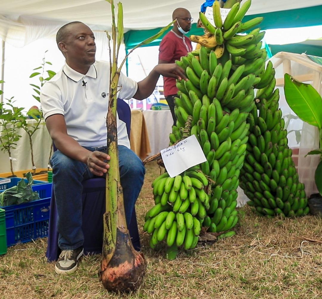 📍The 18th Rwanda Agrishow officially kicks off today at Mulindi Show Ground, Kigali – Gasabo.

From June 18–27, 2025, stakeholders will convene under the theme: "Leveraging Innovation and Investment for Building Resilient and Sustainable Agri-Food Systems."

#RwandaAgriShow2025