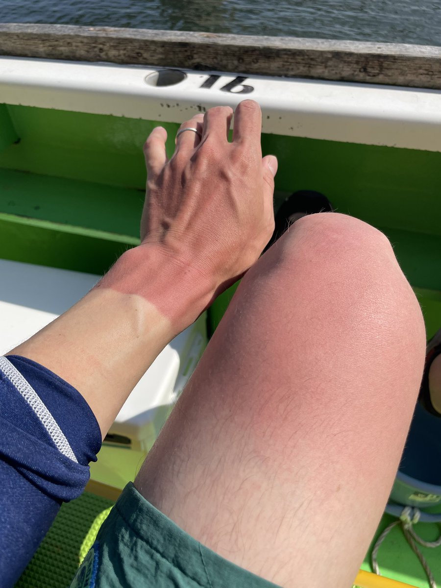 Ryuichi Sakamoto | EDGA° tweet media