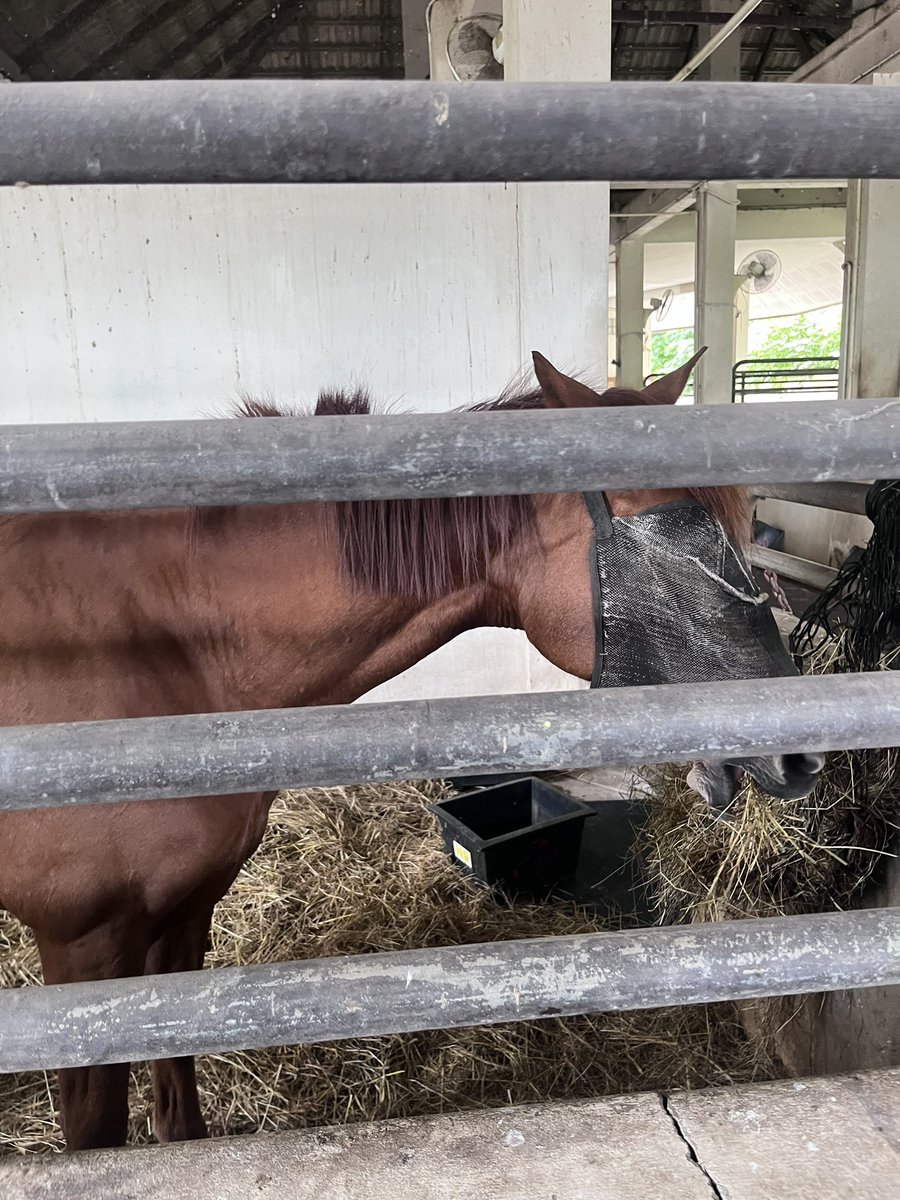 f94_ss's tweet image. ช้าน &amp;lt;3 นารันค่า