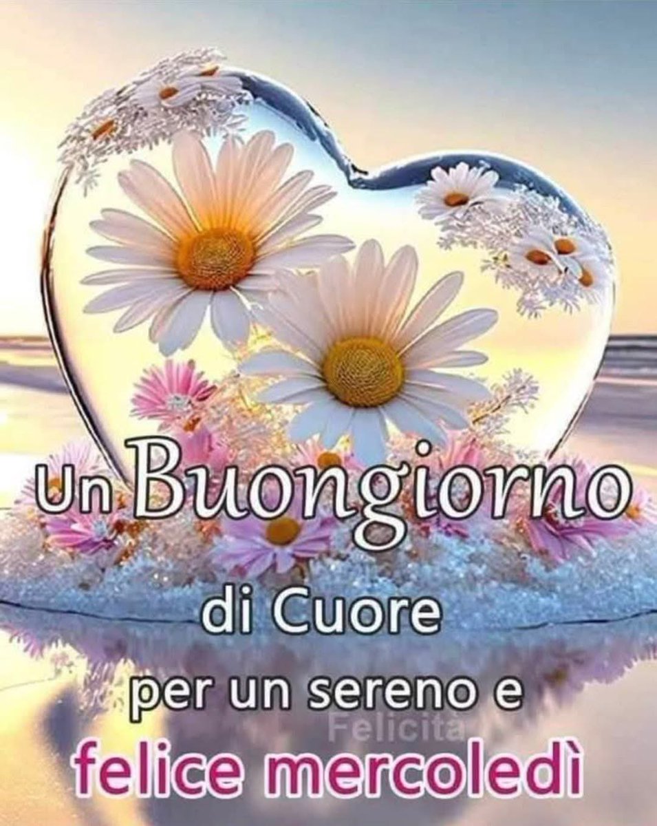 RITABIANCHi56 tweet media