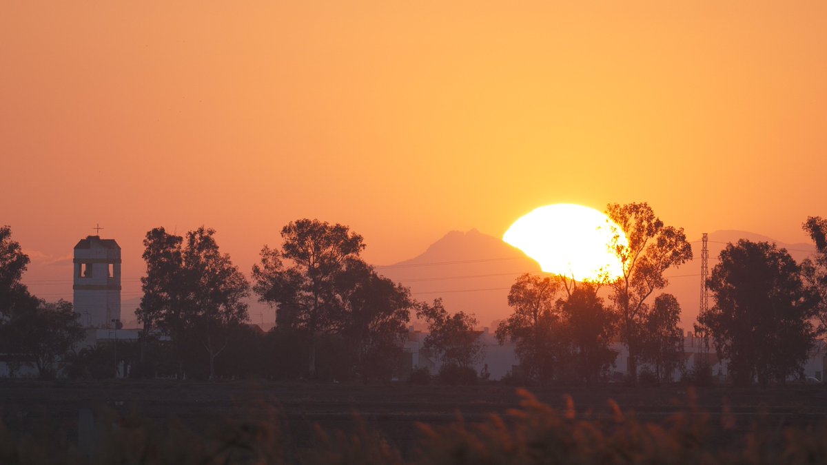 ATARDECERES EN UTRERA.
"Hagamos de los atardeceres algo inolvidable, de las mañanas algo hermoso, y de las noches algo que siempre queramos repetir."
(Leo Romsog)
Repite siempre los atardeceres en Utrera.
#Utrera #turismoutrera
