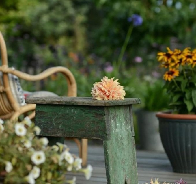 sunita39424199's tweet image. A quiet breeze, bit of sun, and dat soft Nordic calm in d air today...
Hope ur minds stay light and hearts even lighter....
Better keep it gentle n genuine,dat’s enough magic fr one day...
#MorningVibes #HelloTwitter
Pic: Pinterest