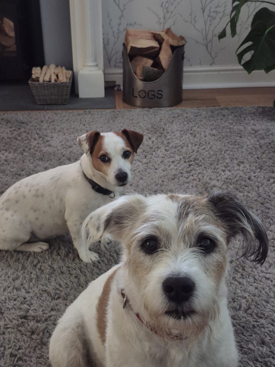 Good morning, from us ❤️