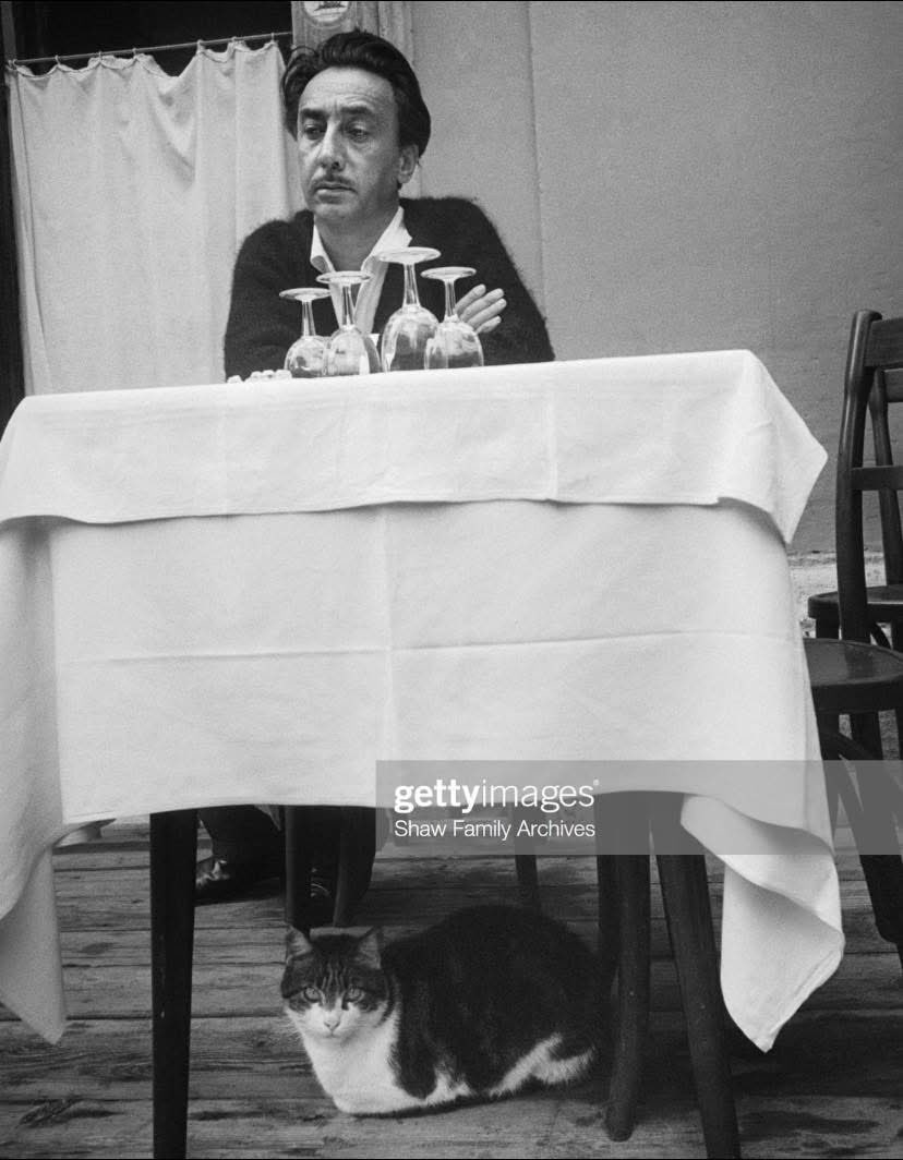 "Je fus sauvé par un chat. Son museau apparut brusquement devant moi entre les bûches, et nous nous regardâmes un instant avec étonnement. C'était un incroyable matou pelé, galeux, couleur de marmelade d'oranges, aux oreilles en lambeaux et avec une de ces mines moustachues,