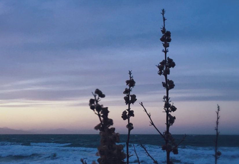 skyandtide's tweet image. something about the way the day ends, right before the sun disappears, that makes you want to hold on to it for just a little longer