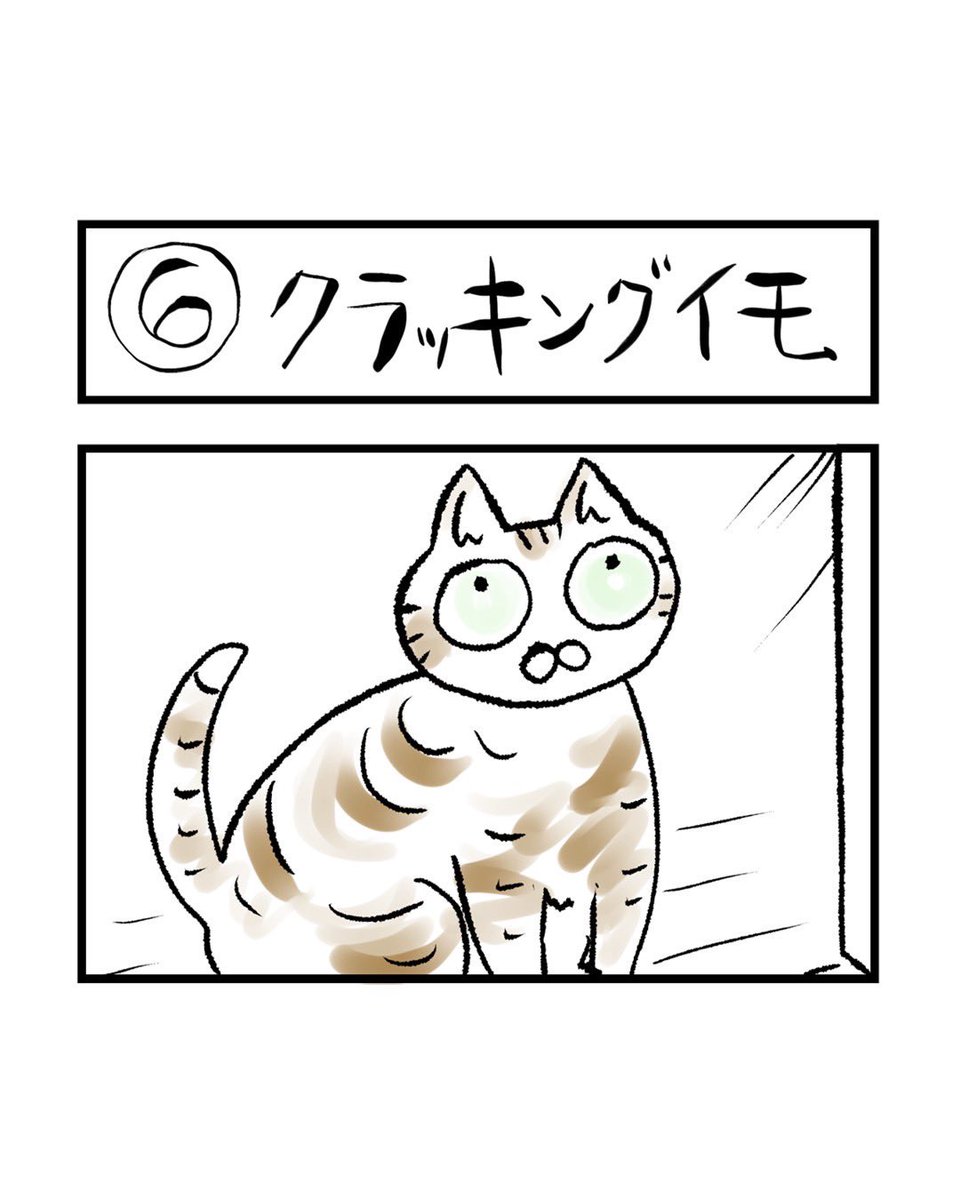 インスタ4コマ「私たちは猫猫している」更新されました。

イモに出会うまでクラッキングというものを知りませんでした。
軽やかなパーカッションのようなその音。

https://t.co/f05R9Q0RI7 