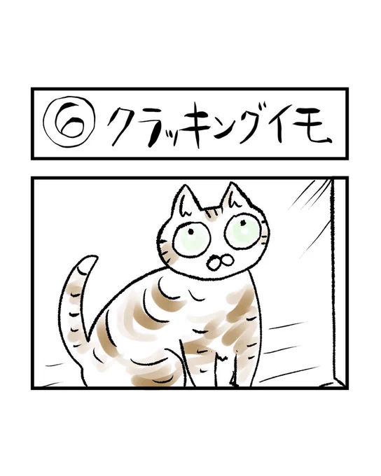 インスタ4コマ「私たちは猫猫している」更新されました。

イモに出会うまでクラッキングというものを知りませんでした。
軽やかなパーカッションのようなその音。

https://t.co/f05R9Q0RI7 