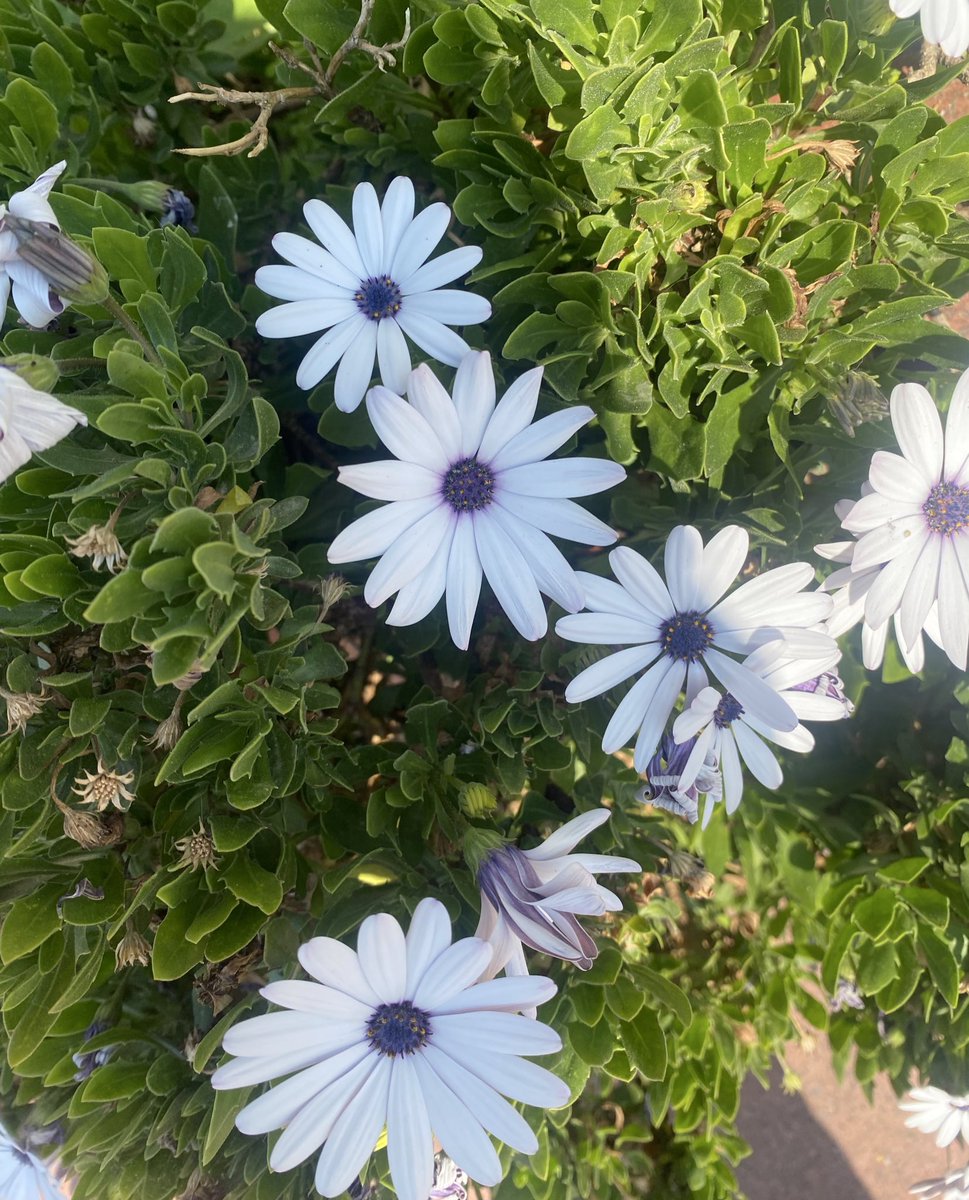 İyi hissedin…
İyi hissettirin…❤️

Gün güzel geçsin.
Günaydın…🌸☕️