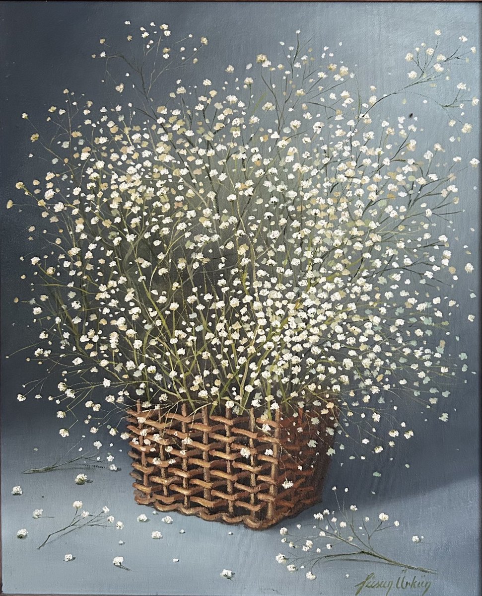 #Gypsophila