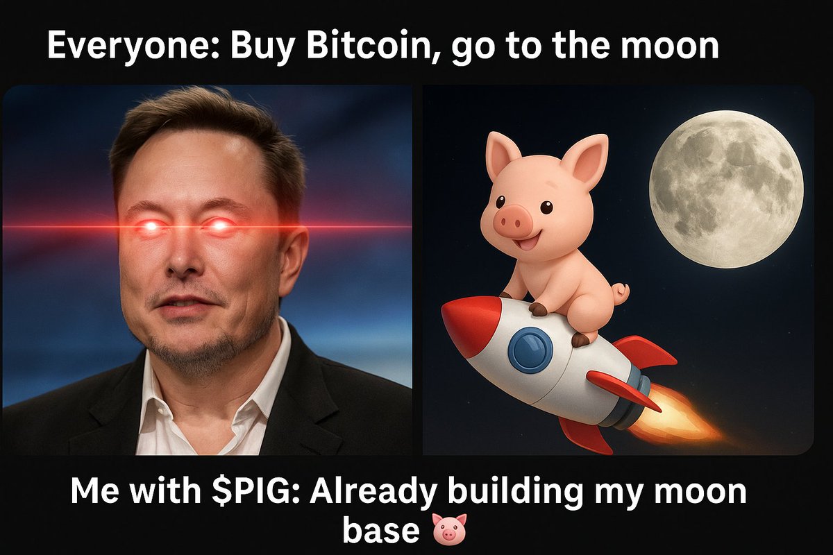 Asad01813's tweet photo. Everyone’s chasing Bitcoin 🚀
But me? I’m riding $PIG straight to the moon and building a piggy palace 🐽🌕
Who needs BTC when you got $PIG?
@pigmo_co
#Pig #MemeContest #CryptoMeme #PigCoin #ToTheMoon #MemeMagic #CryptoCommunity #AltcoinSeason #PIGPower https://t.co/uZqOEqdQ6s