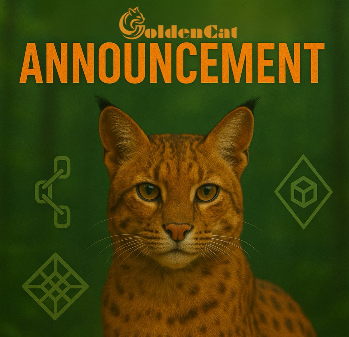 Hey #GoldenCat believers 👋
Are you ready for upcoming big news ? 😻

stay tuned and keep updated on our Community!
🔗 t.me/goldencat_wild… 

 #GoldenCat $GCT 🐱