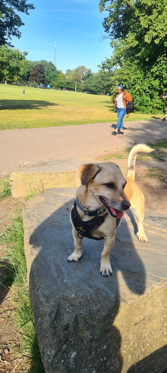 Richard Parnham 🏳️‍🌈 tweet media