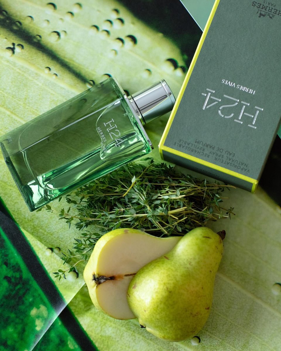 هيرمس H24 ايربس فيفز💚
عطر منعش اخضر متفرد جداً
وكأنك في غابة ممطورة ومحاطة بمساحات عشبية خضراء 🌿🪴 
عطر لما فوق 30 سنة 
جميل جمال مالوش مثال ولا في الخيال 👌💚🤍😅#رابطة_عشاق_العطور