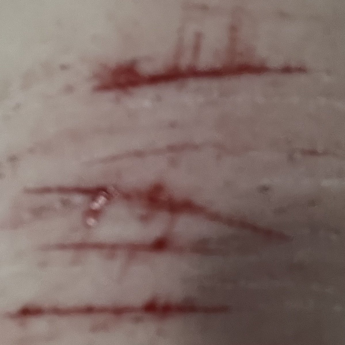 Izuku of shedtwt tweet media