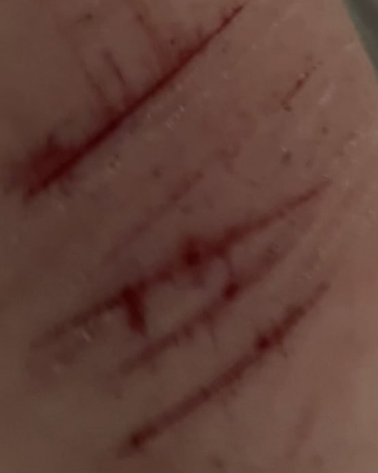 Izuku of shedtwt tweet media