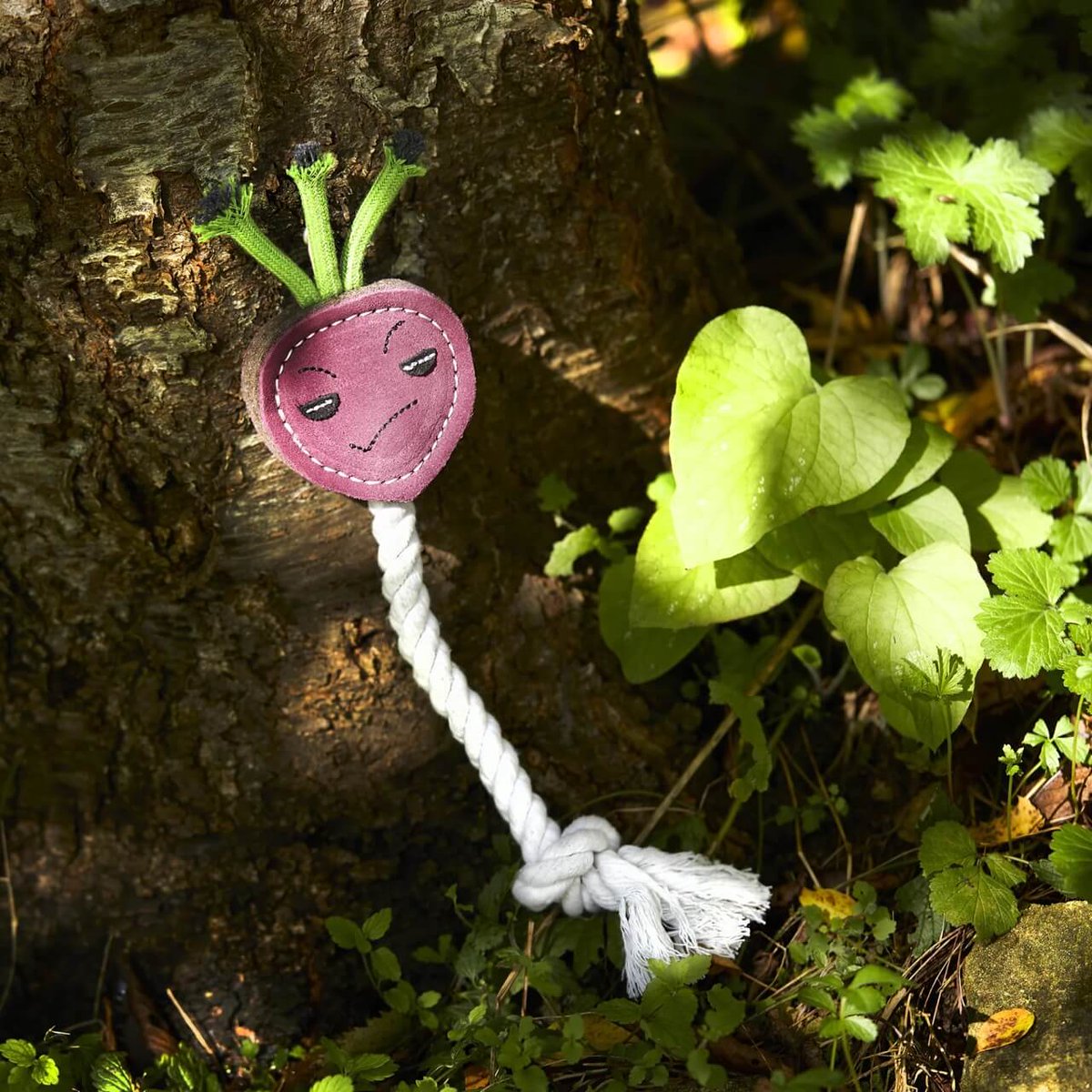 Dotty4Paws (@dotty4paws) on Twitter photo Let Ruby the Radish keep your canine entertained!
Made from natural and recyclable materials, these tough toys from Green and Wilds provide hours of fun
dotty4paws.co.uk/product/ruby-t…
#EarlyBiz <a href="/DistinctivePets/">Distinctive Pets - home of Muddy Dog Day</a> Let Ruby the Radish keep your canine entertained!
Made from natural and recyclable materials, these tough toys from Green and Wilds provide hours of fun
dotty4paws.co.uk/product/ruby-t…
#EarlyBiz <a href="/DistinctivePets/">Distinctive Pets - home of Muddy Dog Day</a>