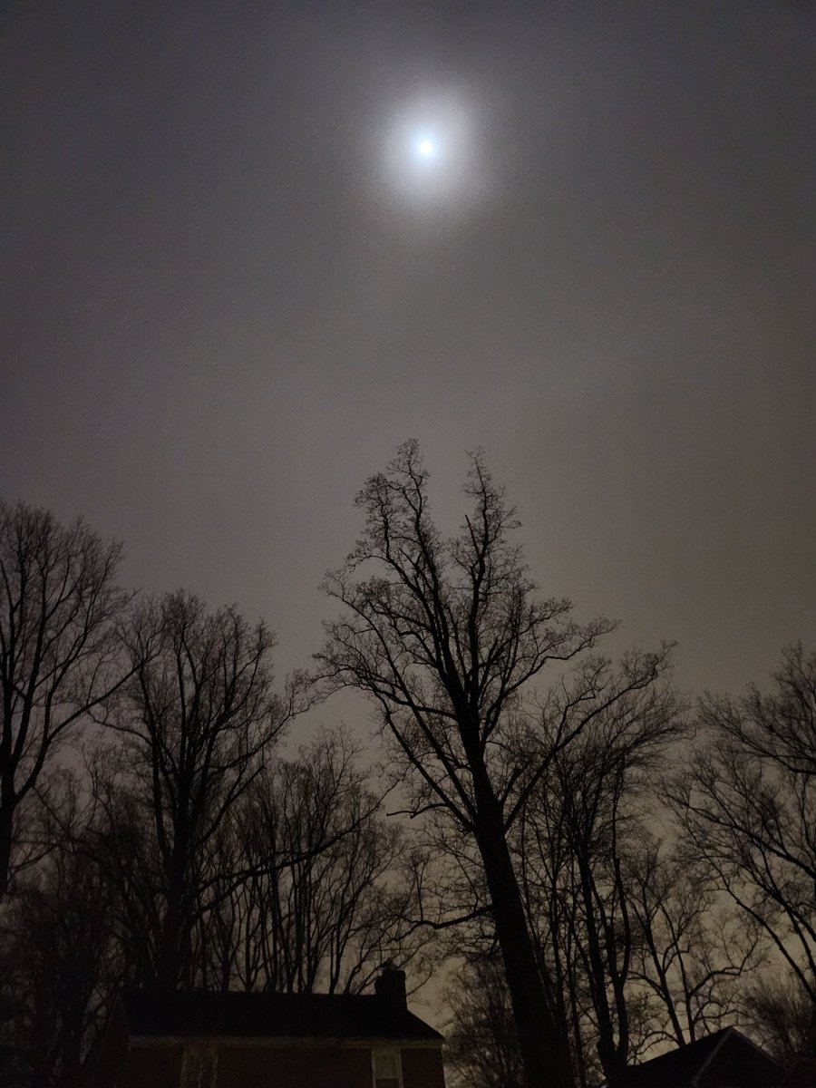 Night