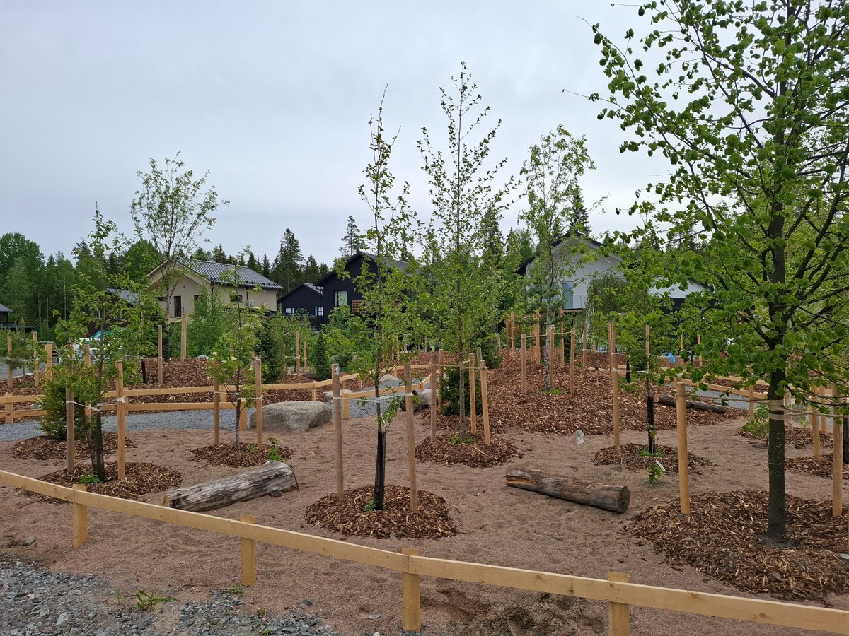 Tampereelle Hakkisenpuistikkoon nousi harvinainen mikrometsä 🌳

Se toimii hiilinieluna, tukee biodiversiteettiä, viilentää ympäristöä ja ilahduttaa silmää. Tampereen ensimmäinen, mutta toivottavasti ei viimeinen! 💚

Lue lisää Hakkisenpuistikosta: bit.ly/44lEUn8