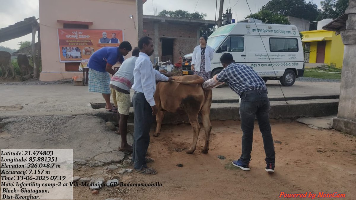 BGhatagaon's tweet photo. ଗୋ ବନ୍ଧ୍ୟା ନିରାକରଣ ଚିକିତ୍ସା ଶିବିର ଗ୍ରାମ ମେଦିନୀପୁର,ବ୍ଲକ ଘଟଗାଁ @farddepartment @dahvsodisha @GokulanandaBJP @CMO_Odisha @anantanayakKJR https://t.co/JUndMypE0g