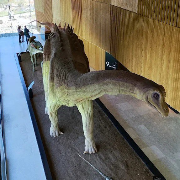 🦕🎒 ¡Fin del cole… y comienzo de una gran aventura jurásica!
¿Buscas un plan divertido, educativo y diferente para celebrar el final de curso?
🌟 ¡El MUPA te espera en Cuenca con dinosaurios, fósiles y mucha ciencia para descubrir en familia!