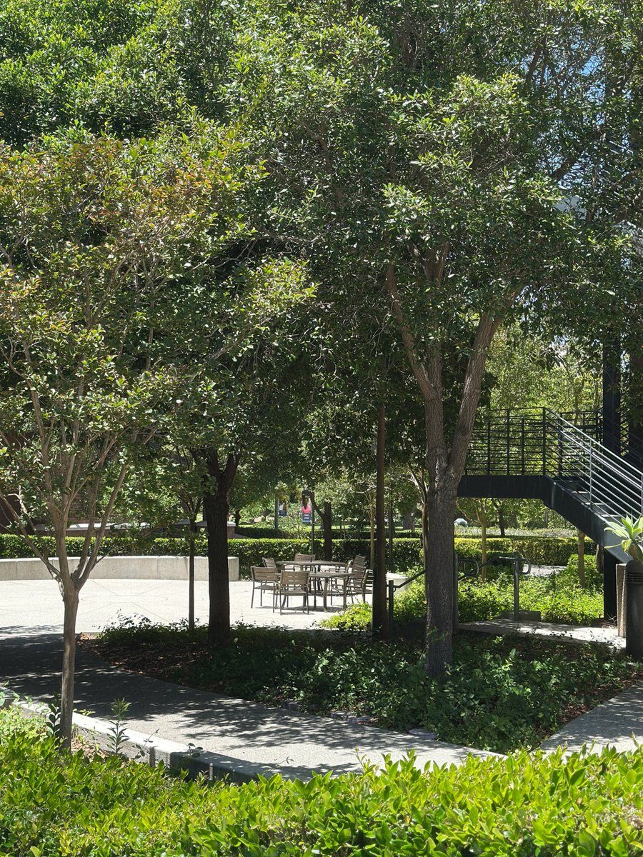 🇺🇸 요즘은 매일 연구실 출근 중… 박사 친구를 많이 만들었어요