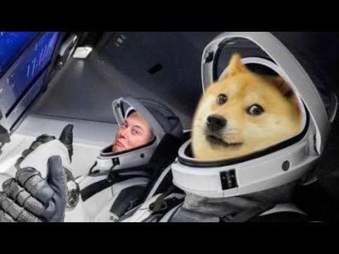 The_DOGE_O's tweet photo. 🚨 $DOGE Alert! 🚨
A falling-wedge is forming while $658M worth of DOGE exits exchanges — signaling a possible 52% upside! 📈🐋
Could DOGE soon break higher? 👀🚀
#Dogecoin #Crypto #BullishPattern #WhaleWatch #Altcoins https://t.co/BuRrwIjafw
